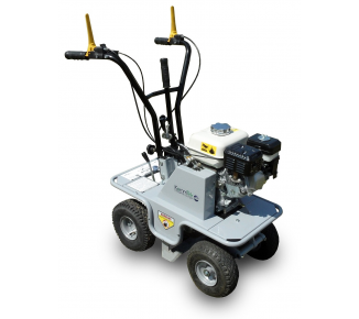 Turf cutter 300 RS3040