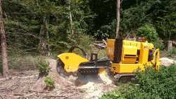 Stump cutter on crawler chassis P 75 RX